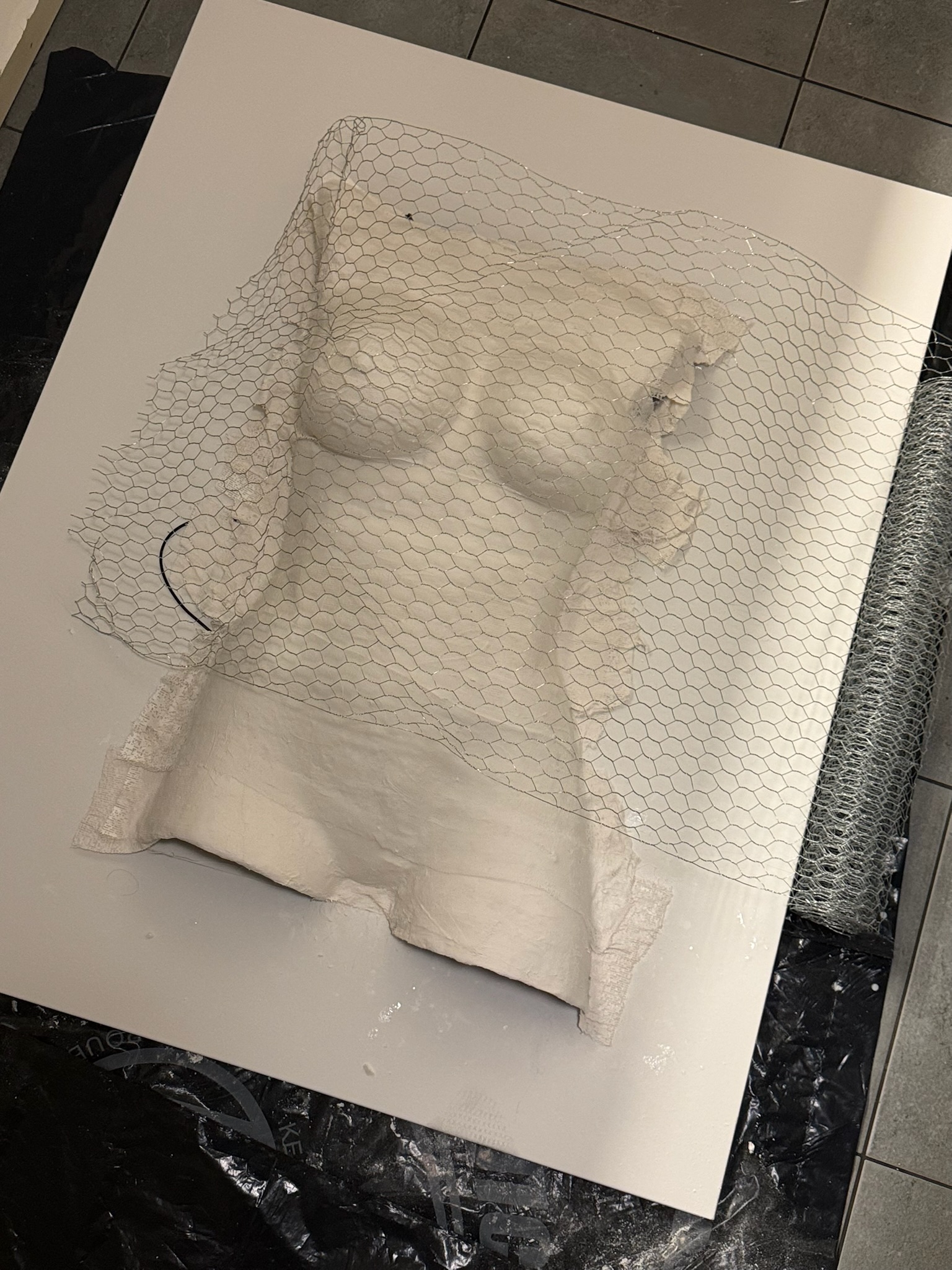 Œuvre en relief sur panneau de Maria-Callas Dinescu